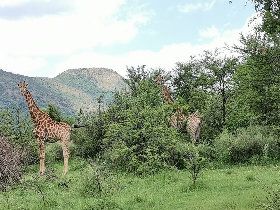 Commercial Property for Sale in Vredefort Rural Free State